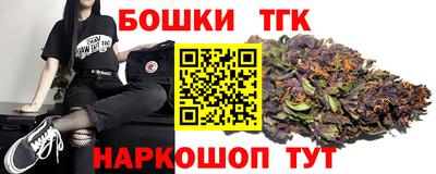 индика Ефремов