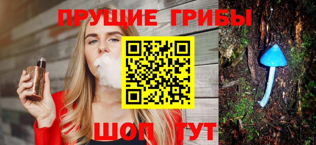 Дзержинск  Галлюциногенные грибы Psilocybe  магазин продажи наркотиков  Вход с VPN 